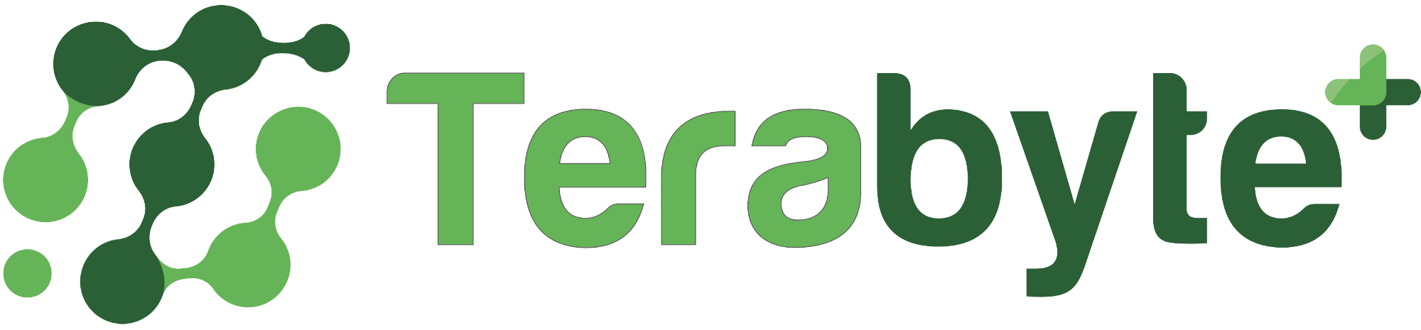 TERABYTE PLUS